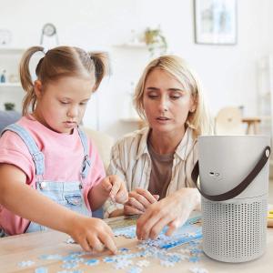 Desk Portable Uv Air Purifier With H13 Hepa Filter Mini Small AP01 Home