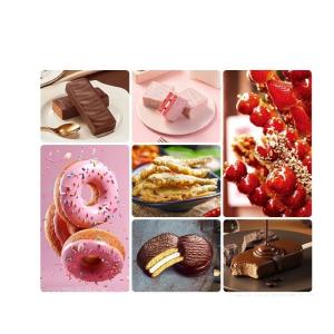 Automatic Thermal Processing Chocolate Coating Machine for Coating Crispy