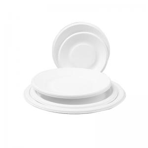 China Sugarcane Bagasse White Biodegradable Food Plate Compostable on sale