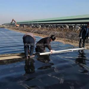 Industrial Design Style Plastic Liners for Farm Earch Dam Lining at Affordable