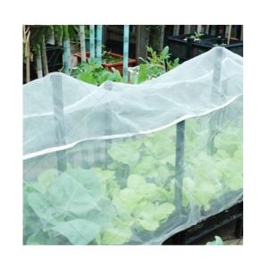 White Anti Bee Net Hail Net Hail Proof Net for Tree Crop Protection, Bird Insect