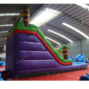 Commercial Giants Kids Inflatable Water Slide with Pool 18ft Business Rental