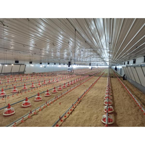Hot Dip Galvanized Metal Steel Broiler Layer Poultry House With Automatic