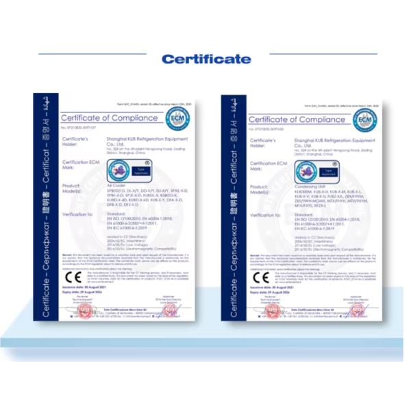 TAG2522ZBR Commercial 6HP Refrigeration Unit Air Cooled R404 Refrigerant Cold Storage Condensing Units