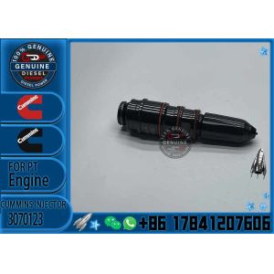 Professional Factory Supplied for Cummins NT855 Engine Injector 3070123 3054218