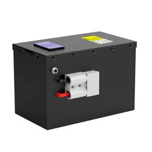 OEM ODM LiFePO4 lithium battery pack golf cart battery 48V golf cart lithium