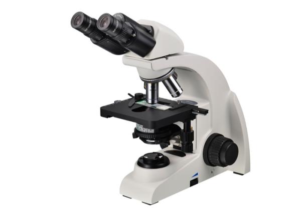 Quality Multi Function Binocular Biological Microscope 4X - 100X With Plan Objectives wholesale