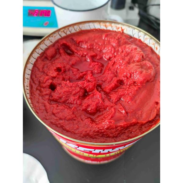 Quality Fresh Canned Tomato Paste 70-400g China Origin wholesale