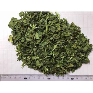 AD Dehydrated Spinach Flakes 9x9mm New Crop with ISO, HACCP, FDA certificates