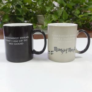 Harry Potter Heat Sensitive Cup Custom Coffee Cup That Changes Color
