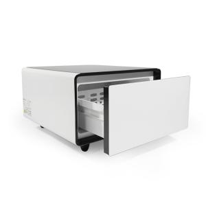 Home Furniture Grade 2 Energy Efficiency Smart Bedside Table with Direct Cooling