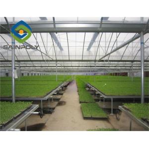 UV Radiation Protection Layer 120km/H Multi Span Greenhouses