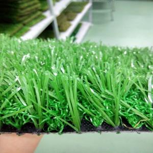 Artificial Fake Turf Carpet In Realistic Surface Roof Top Beautiful Landsaping