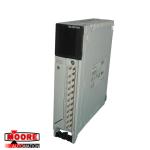 TSXDEY16A2 Schneider Discrete Input Module Modicon Premium-16 I 24 V AC