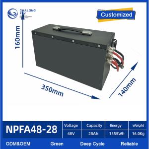 Cheap OEM ODM EV Lithium Battery Pack For AGV 24V 48V 60V 72V 80V Lifepo4 With Smart BMS for sale