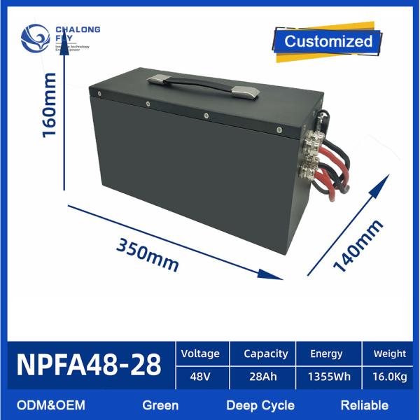 OEM ODM EV Lithium Battery Pack For AGV 24V 48V 60V 72V 80V Lifepo4 With Smart