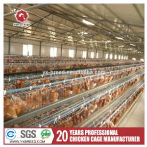 10000 Birds Layer Poultry Equipment A Frame Layer Cages SGS Approved