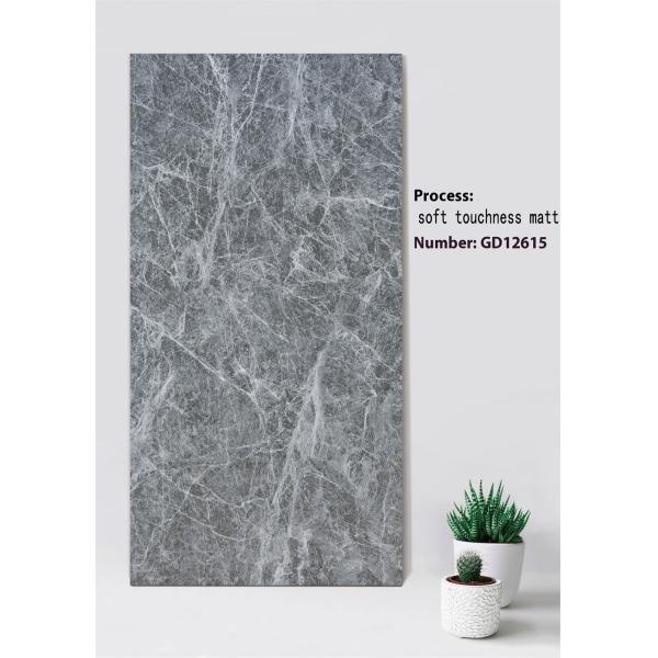 Light Gray Clay Curtain Wall Tile 600x1200mm Soft Touchness Matt