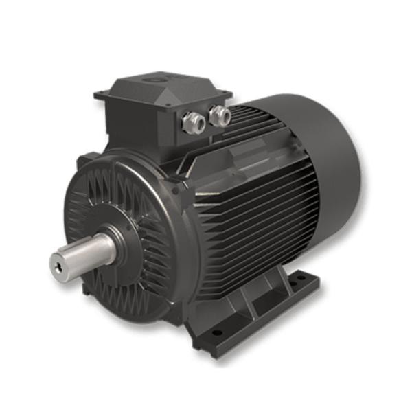 220v 5.5-3000kw Explosion Proof SPM Motor , IPM Motor Manufacturer