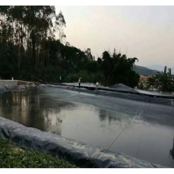 Impermeable Hdpe Geomembrane For Fish Farm Project And Related Aquaculture Ponds