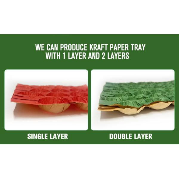 Wholesale 100% Biodegradable Kraft Paper Pulp Fruit Tray Liner Eco-Friendly Protection Packaging for Food Use