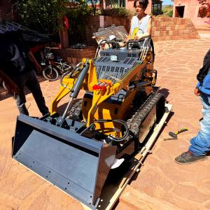 Mini Skid Steer Loader Mini Crawler Wheel Skid Steer Loader With EPA/Gasoline