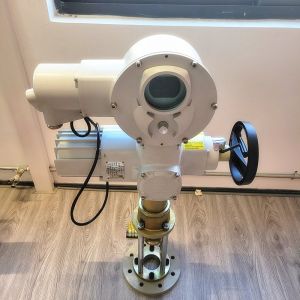 IP65 Rated Electric Linear Actuator with Max Thrust 10000N and Standard Stroke