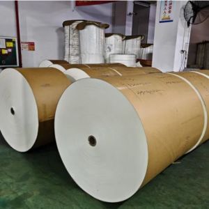 1-7 Colors Single Double PE Coated Brown Kraft Cup Paper Roll for Making Various