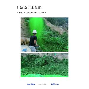 Cheap Efficient Ecological Dust Suppression For Roads , Environmental for sale