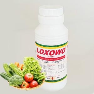 Comprehensive Nutrition High Natural Water Soluble Fertilizer Nitrogen Foliar