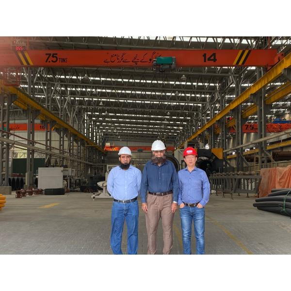 Quality Light Duty Electric Single Girder Overhead Cranes Travelling Crane With 5T Load Capacity wholesale