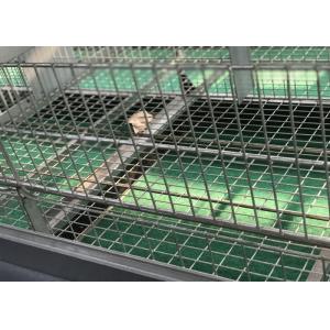 China Quail Bird Farm  Commercial Poultry Watering Systems For Broilers Layers Hens on sale