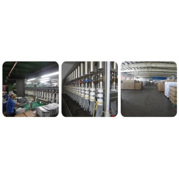 Disposable Transparent PVC Hand Protection Gloves