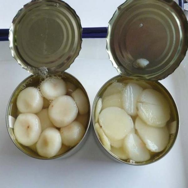 Little Salty Canned Vegetables / Water Chestnuts Slices / Dices / Halves