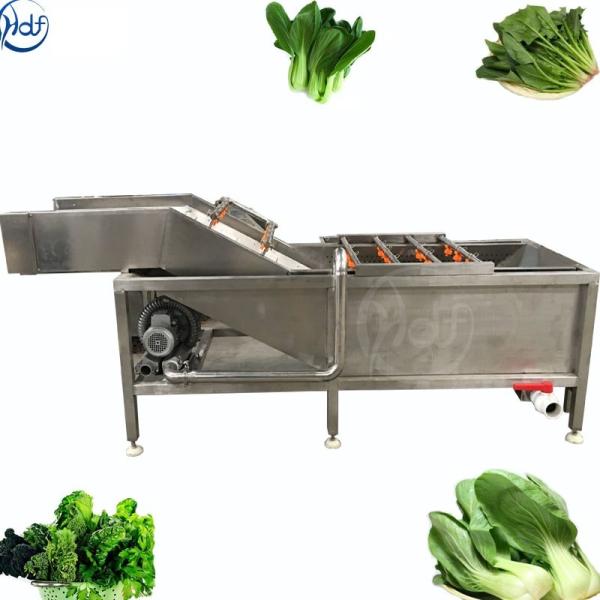 SUS304 Electric Vegetable Washer Vegetable Air Bubble Washing Machine Vegetables