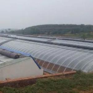 Arched Roof Greenhouse The Ultimate Sunlight Solution for Tomato and Cucumber