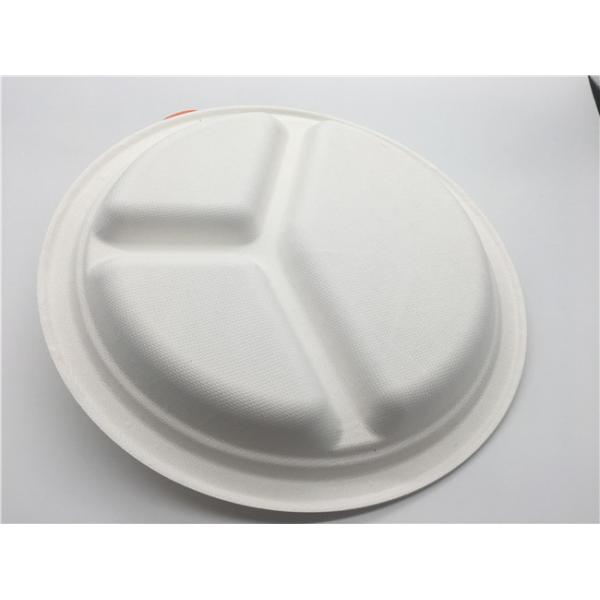 9" Biodegradable Sugarcane Bagasse Plates