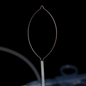 Convenient Using Polypectomy Snare Instrument With 3 Years Shelf Life