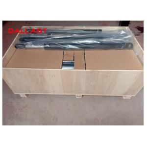 Customized Small Pin eyes 700 mm Stroke Double Acting Hydraulic Cylinder