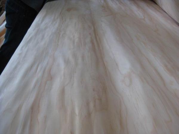 Quality Rotary Peeled New Zealand Pine Wood Veneer Sheet For Plywood, MDF wholesale