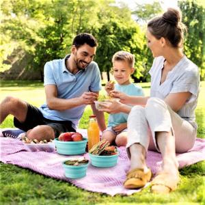 Collapsible Bowls For Camping Set Of 4 Silicone Food Storage Containers With