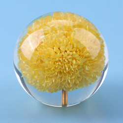 Artificial Transparent Paperweight , Clear Epoxy Resin Ball With Real Dry Flower