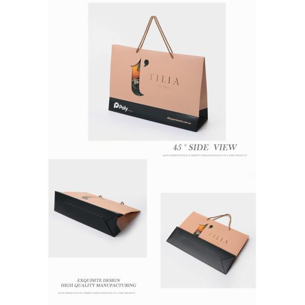 Custom Printed Shopping Bags With Your Brand Logo For Promotion Bag