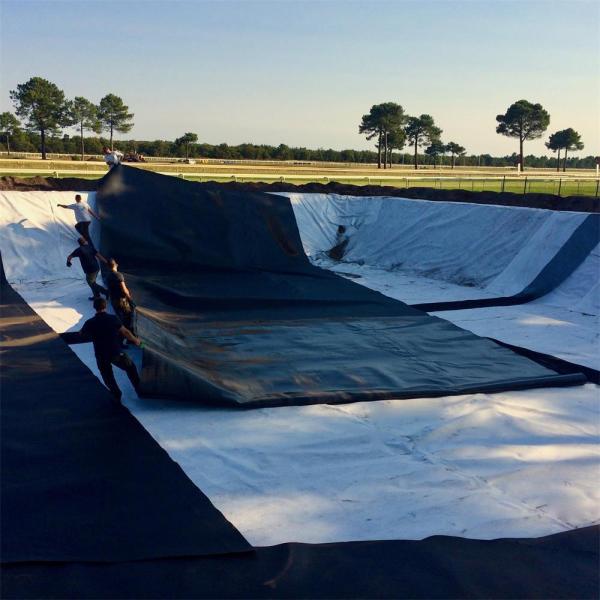Industrial Style 1mm Geomembrane Pond Liner HDPE Plastic Liner Geomembrane Pond