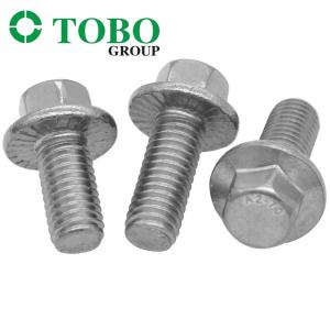 Fastener Stainless Steel M4 M6 M8 M10 M12 DIN6921 Class 4.8.8.8 10.9 12.9 Hex
