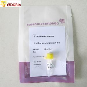 R2031 20uL Random Hexamer RNA Reverse Transcriptase Primer 6-Mer