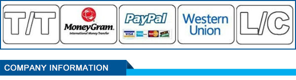 Two Stage Electric Hydraulic Car Jack ROHS Approved 3.5m Power Cable 4t