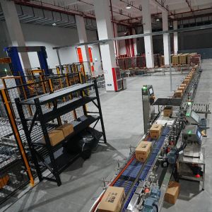 Intelligent Robot Palletizer Automatic Packing Cartons Loading Electric Palletizer Machine