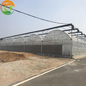 Multi Span Agriculture Greenhouse Height 3m Customized Length 50m