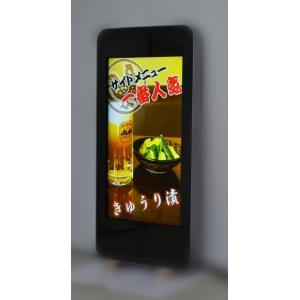 55" Outdoor LCD Digital Signage , Outdoor Digital Advertising Display Screens